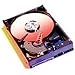 250GB