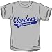 Tenacious D - T-shirts - Band