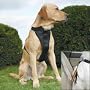 Kurgo Tru-fit Dog Harness, Large (for Dogs 50 to 80 Pounds), Black