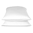 - 600 TC White Pillowcase-Set of 2 - Std.