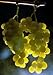 Thompson Seedless Grape Vine -- 6 by 6 Inch Container by Monrovia Growers