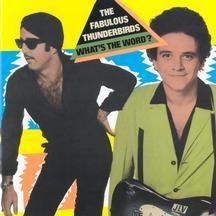 FABULOUS THUNDERBIRDS - What