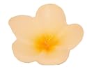 Floating Candles Hibiscus Asst. 1 pc