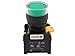Alpinetech LXG-22 Green 22mm 1NO Momentary Push Button Switch 110V LED Illuminated