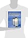 Penguins of the World