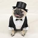 DOG COSTUME - DOG TUXEDO - SMALL - Dog Costume