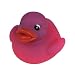 Colour Changing Duck Bath Toy