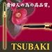 健康グッズ／耳鼻／TSUBAKI　ツバキ耳かき