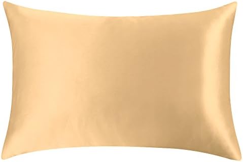 Sahara Fish 100% Mulberry Silk Pillowcase for Hair & Facial Beauty, Pillow Shams Cover with Hidden Zipper King Champagne