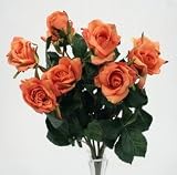 31U5kzRzP L. SL160  Rose bush mixed heads 14.5 or