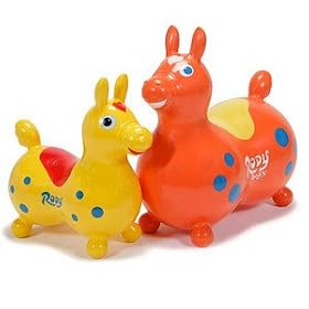 Gymnic Rody Max
