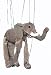  : Elephant 16