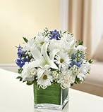 Flowers by 1800Flowers - Healing Tears - Blue and White - Little