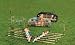 Sporting Goods : Harwood Croquet Expert Set