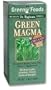 GREEN FOODS CORPORATION Green Magma USA Original Travel Packets 25 pkts