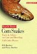 Barrons Books Corn Snakes Reptile Keepers Guide