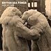 British Sea Power, Facts [Analog], 発売中