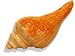 Spiral Shell Small