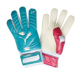 Puma evoPOWER Grip 2 Regular Cut Soccer Gloves (Beetroot Purple/Bluebird)