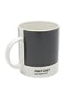 Pantone Mug, Cool Grey 10C