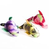 Tye Dye Dolphin