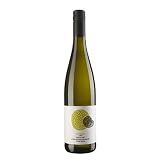 2011 Hofmann Riesling vom Muschelkalk trocken Rheinhessen Gutswein 0,75 l Wei&szlig;wein trocken