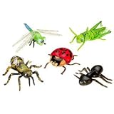 Learning Resources - Inflatable Insects