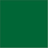 Rick Steves Civita Day Pack, Green