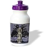 WhiteOaks Halloween Skulls - See No Evil Three small skulls stacked - Water Bottles