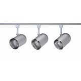 Royal Pacific 7943BA-CFL 4-Foot 1 Floating Feed, 3 23-Watt GU24 Roundback Cylinder Heads Straight Track Light Pack, Brushed Aluminum Finish