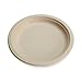 100% Compostable Disposable Paper Plates [10