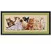 Janlynn Kittens In A Row Cntd X-Stitch Kit