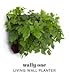 Living Wall Planter INDOOR/OUTDOOR USE w/Reservoir  (Color: Chocolate) Vertical Garden (Modular, Sustainable, Eco, Green) Hanging Planter