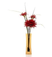 Red Exotic Vase