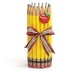 Unique Pencil Shape Teachers Vase With Apple Great Gift for Teacher
