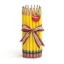 Unique Pencil Shape Teachers Vase With Apple Great Gift for Teacher