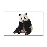 22 x 14 Wall Vinyl Sticker Panda Bear Youth