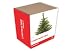 Kitchen & Housewares : Christmas Tree