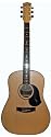 Maton M325