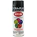 Tools & Hardware : KRYLON DIVERSIFIED BRANDS 1602 12OZ BLK FLT Enamel