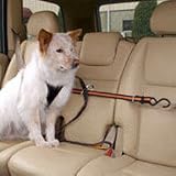 Kurgo Pet Travel Canine Auto Zip Line with Harness small dogs 10 to 25-lbs.
