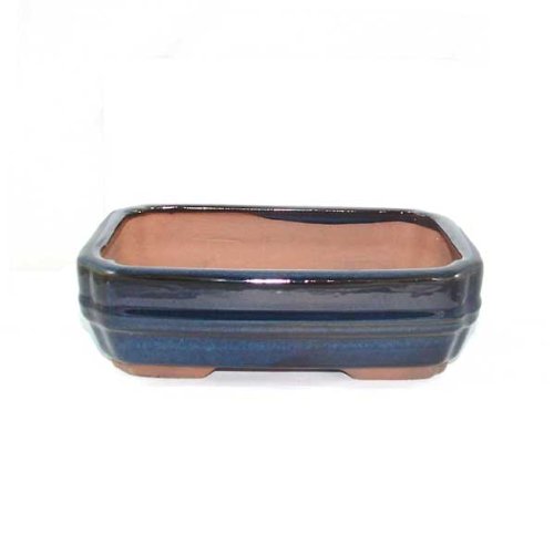 21cm Glazed Bonsai Pot - Blue
