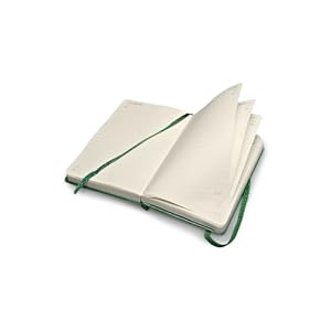 Moleskine 2014 Planner 12 Month Daily Oxide Green Pocket