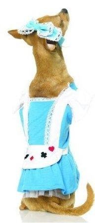 Pet Medium - Cute Little Alice Puppy Costume