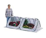 Starter House Portable Greenhouse