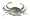 Skipjack