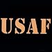 Men's Hoody : USAF - Flock Lettering (It's Fuzzy!) - Military Air Force