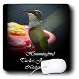WhiteOak Photography Animal Prints - Hummingbird Joy Picture of a Hummingbird - Mouse Pads