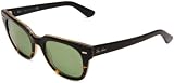 Ray-Ban Meteor Wayfarer Sunglasses
