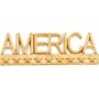 14k Yellow Gold America Lapel Pin 7.5x22.5mm - JewelryWeb
